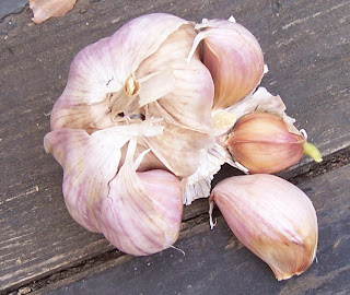 Rhume, rhinite, maux de gorge