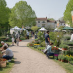 découvrez le programme complet et toutes les informations pratiques pour la fête des plantes à sainte-geneviève-des-bois. un événement incontournable pour les passionnés de jardinage et de nature.