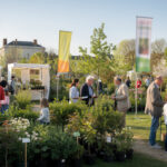 découvrez tout sur la foire aux arbres yvetot 2025 : dates, programme complet et informations pratiques pour profiter pleinement de cet événement incontournable.