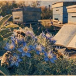 Plantes mellifere au jardin : abeilles sur fleurs bleues et jaunes