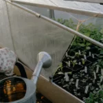 Mini serre de jardin Lidl 3,9 m³, godets de semis et buée au petit matin