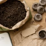 Terreau potager bio : compost et fibres, check avant achat