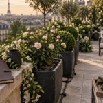 Entreprise entretien jardin luxe Paris : terrasse désherbée et arrosage goutte-à-goutte