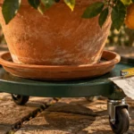 Support à roulettes pour plantes extérieur : mesure du fond du pot rempli sur terrasse